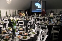 Peerless Events and Tents
