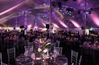 Peerless Events and Tents