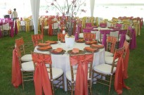 Peerless Events and Tents