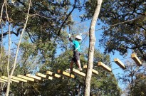 The Southern Cross/Trinity Forest Adventure Park