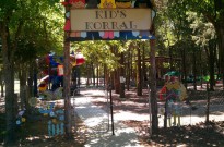 The Southern Cross/Trinity Forest Adventure Park