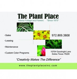 The Plant Place