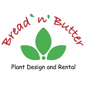 Bread N Butter Party Plants
