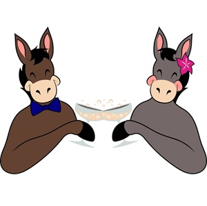 The Bubble Burros